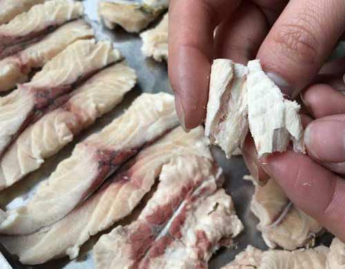 凍干魚(yú)肉