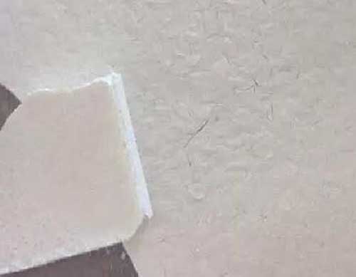 益生菌凍干