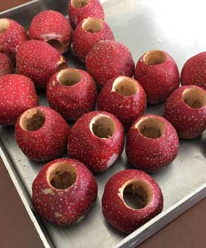 水果山楂凍干工藝技術