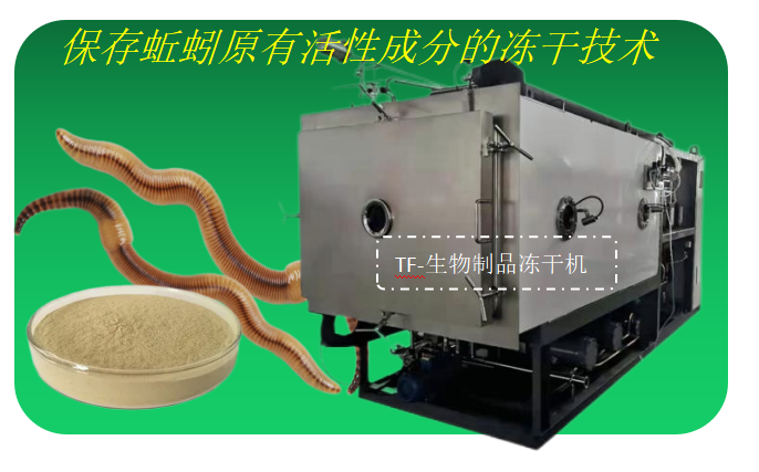 圖片202.1.png