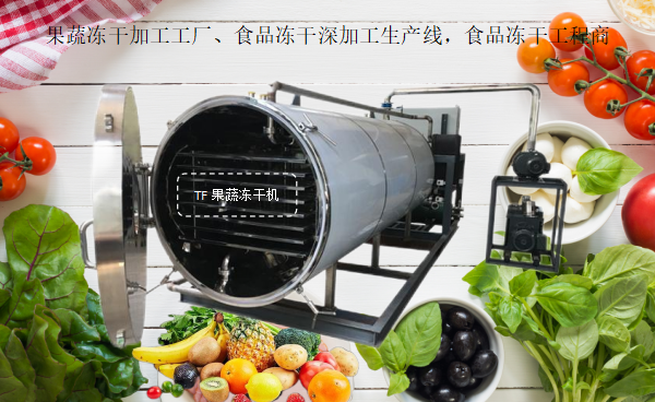 冷凍干燥機(jī)|凍干機(jī)|真空冷凍干燥機(jī)|大型冷凍干燥機(jī)|食品凍干機(jī)|制藥真空冷凍干燥機(jī)|食品凍干設(shè)備|制藥冷凍干燥機(jī)