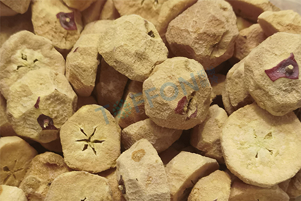 凍干海紅果：水果真空冷凍干燥機的應用和特點