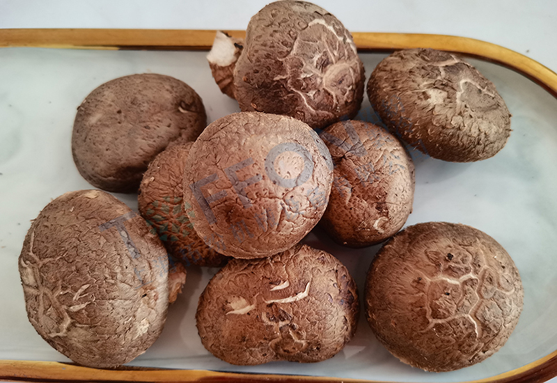 香菇凍干：食用菌凍干技術(shù)介紹及應用